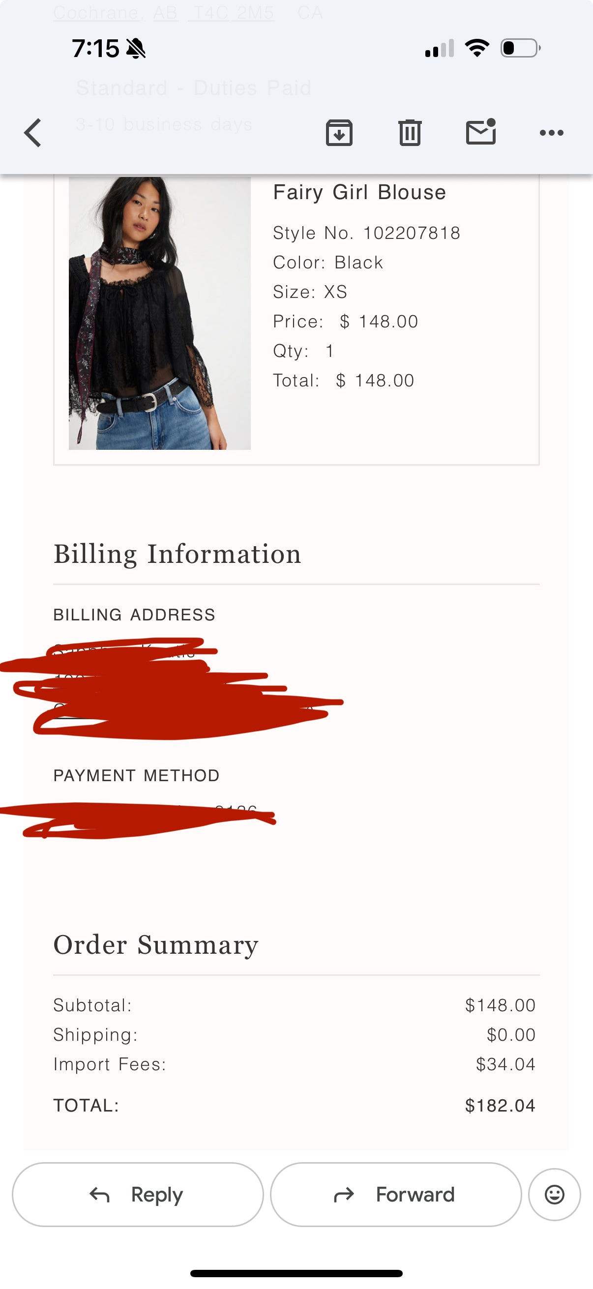 Free people fairy girl lace boho blouse